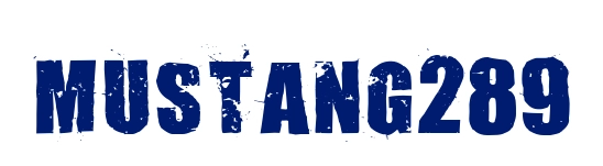 Mustang289